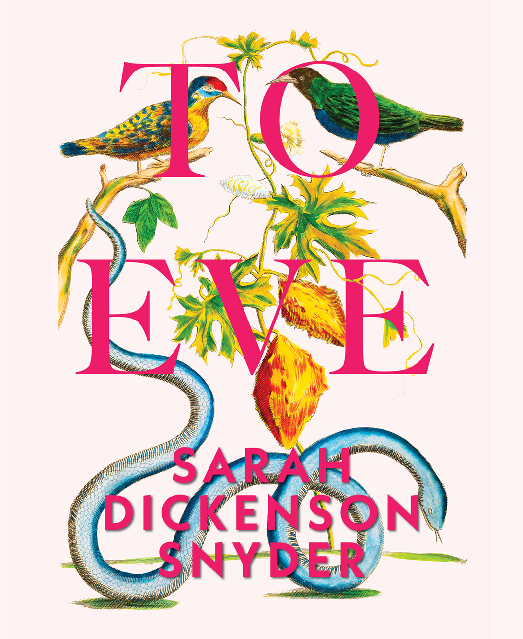 To Eve · Sarah Dickenson Snyder | Nixes Mate Review